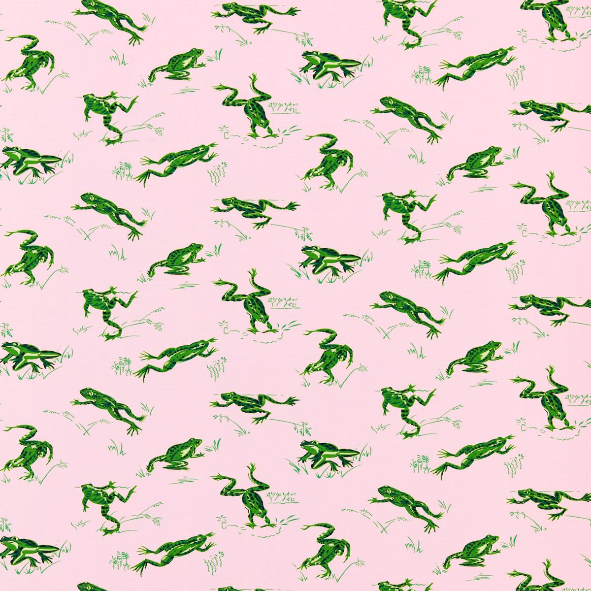 SCALAMANDRE CALABASAS COUNTY – OUTDOOR FABRIC CAMELIA – SC 000416426M NEW SKU # SC16426M0004