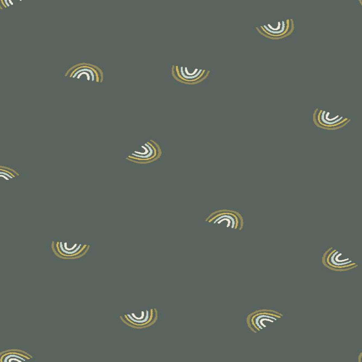Always Look For Rainbows By Cotton + Steel Hidden Falls