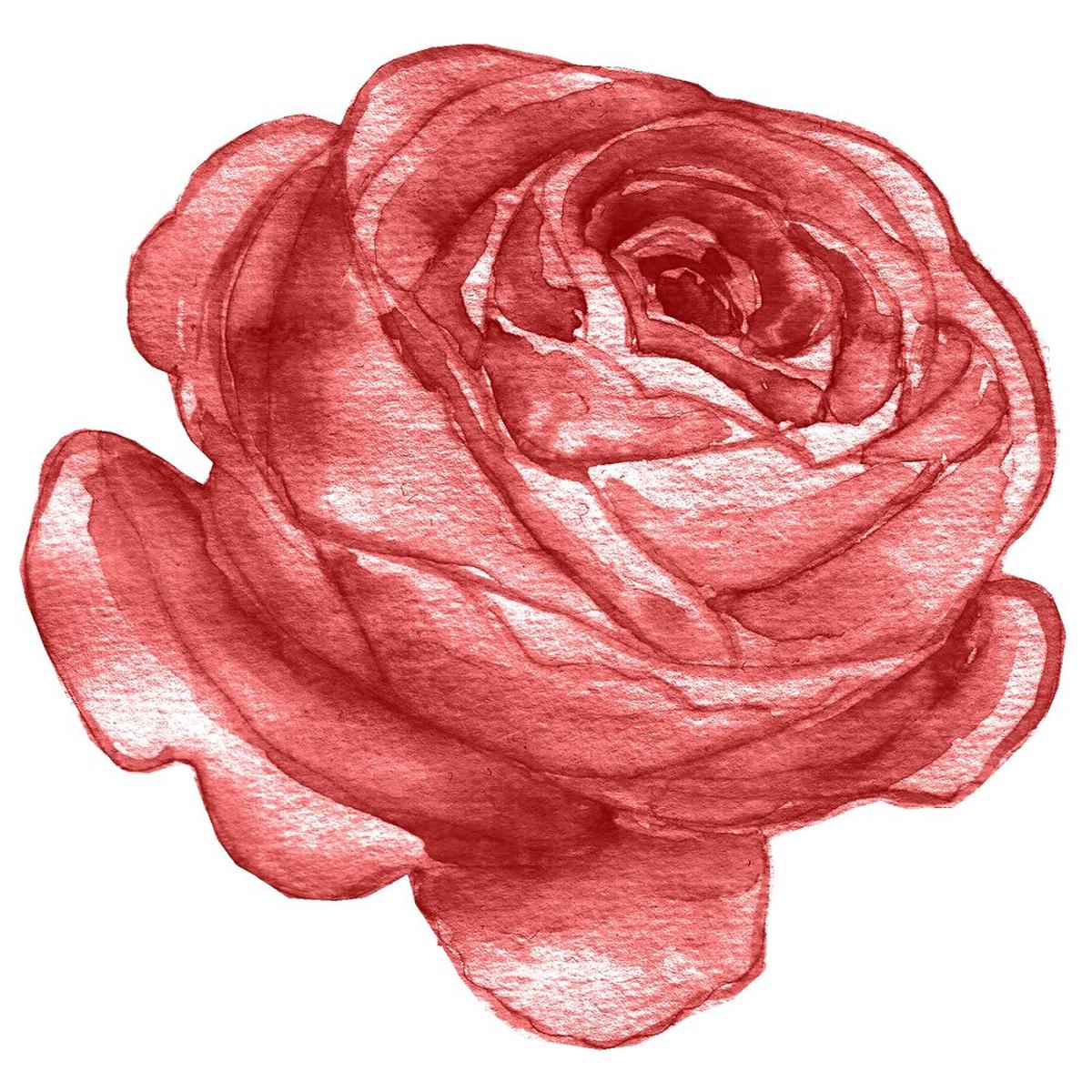 Champagne & Burgundy Rose Fabric Panel – Dusty Rose