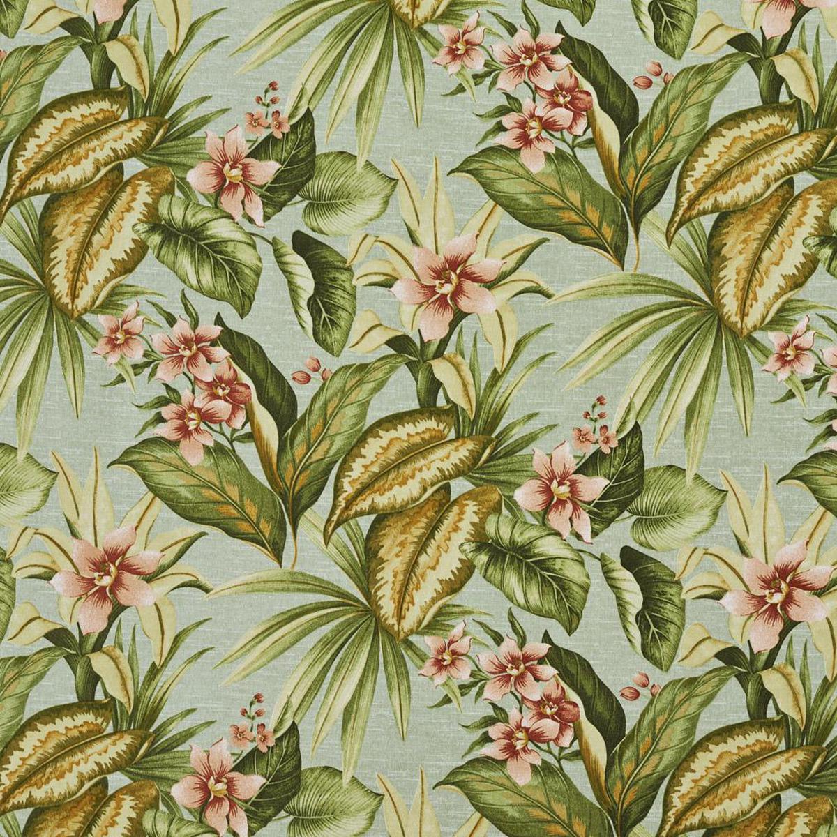Charlotte – 3426 – Jamaica – Fabric by the Yard – Jamaica