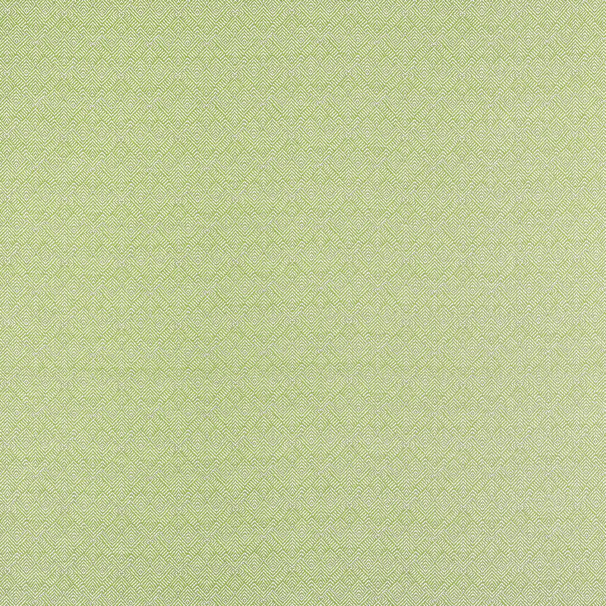 Calista Kiwi Fabric