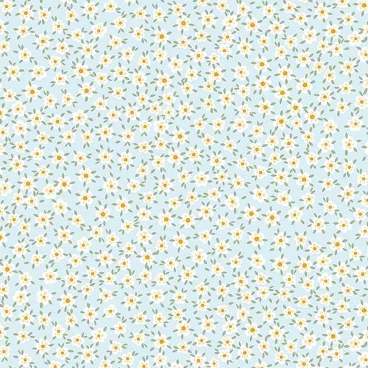 Dear Stella – Sting Like A Bee – Digital – Don’t Kill My Buzz – Sky – Yardage