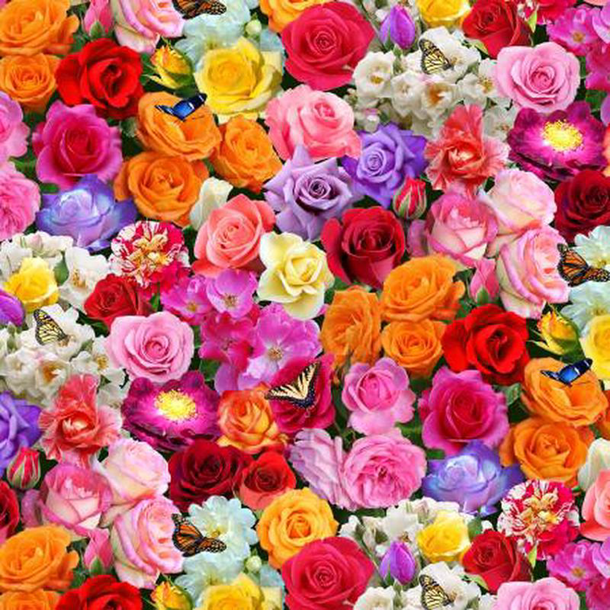(SOLD PER BOLT) Burst of Color Roses Colored Packed Multi Elizabeth8217s Studio Cotton Fabric ES-663 Multi-FB