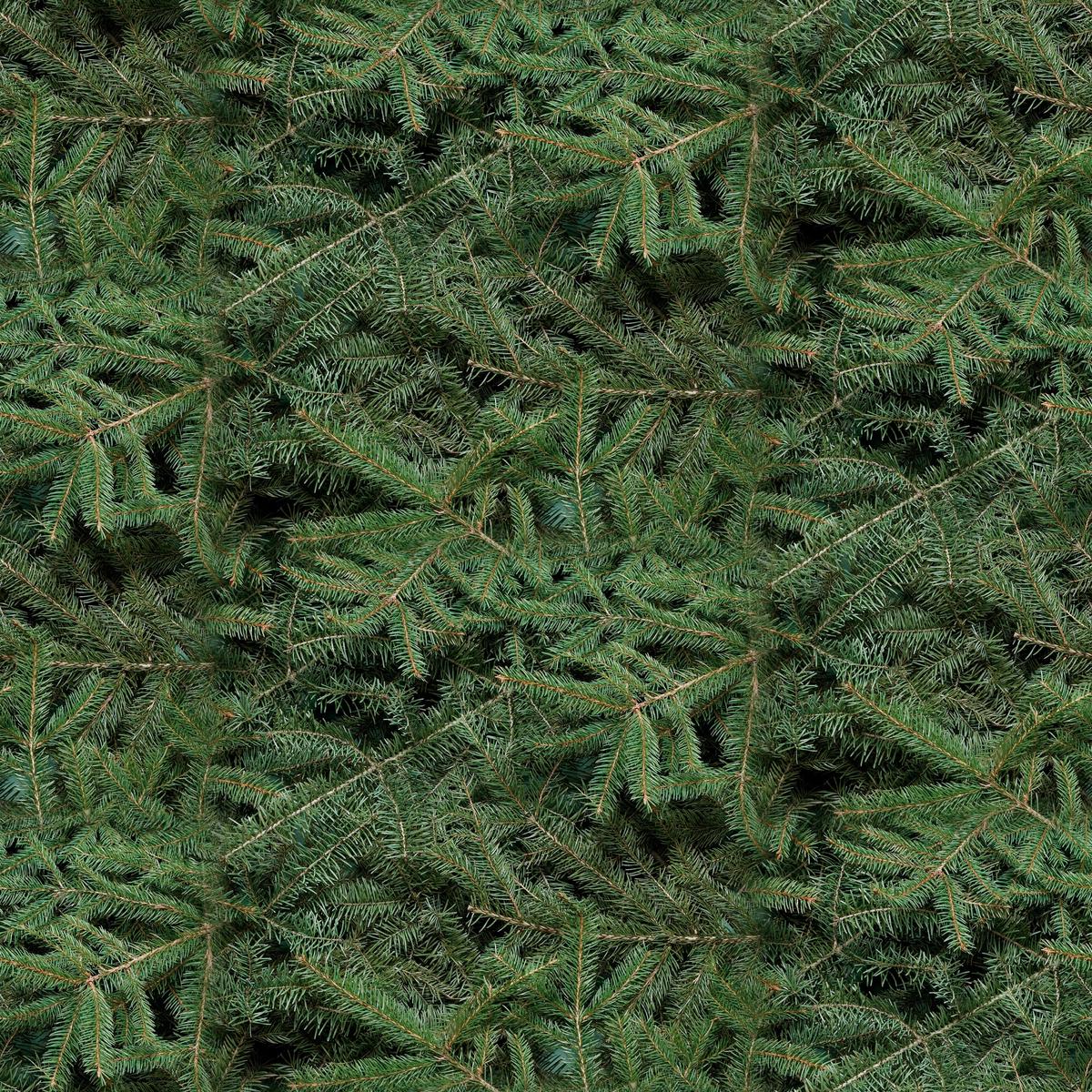 Wild Wings Caldwell Creek Pine Needles Fabric