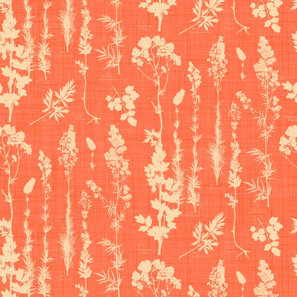 Wildflower Silhouettes on Orange Fabric