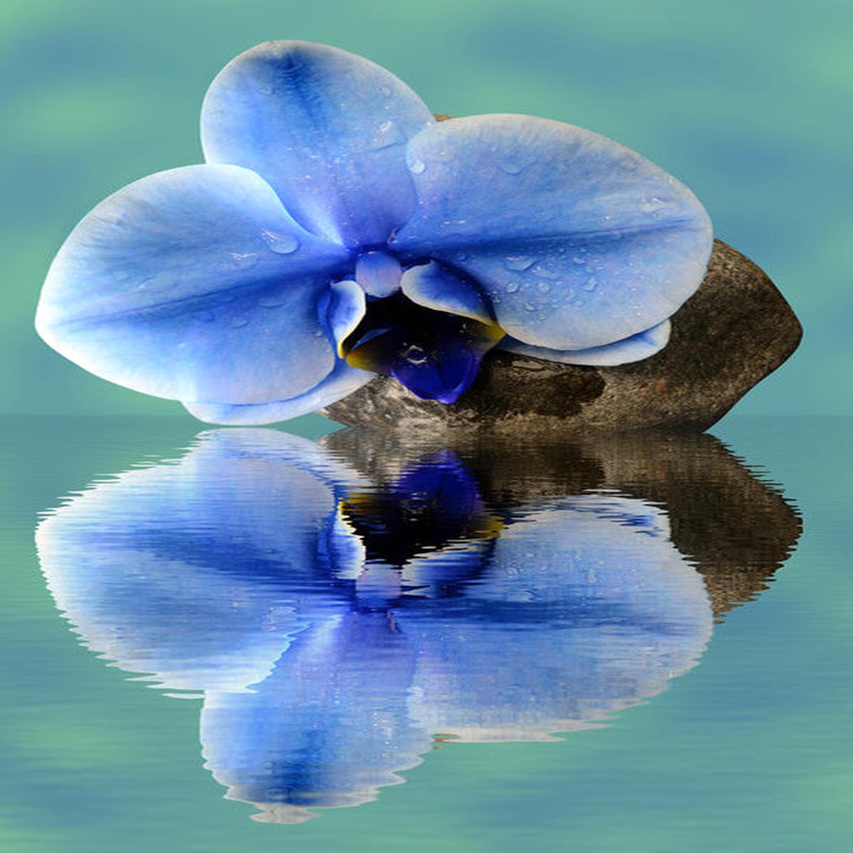Time to reflect 2