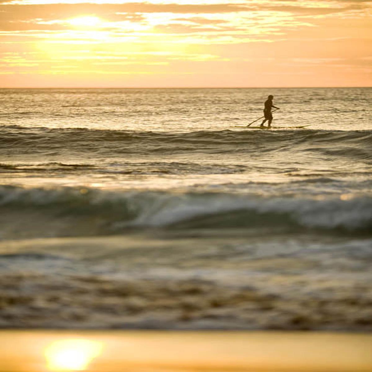 Avalon beach paddle boarder at sunrise