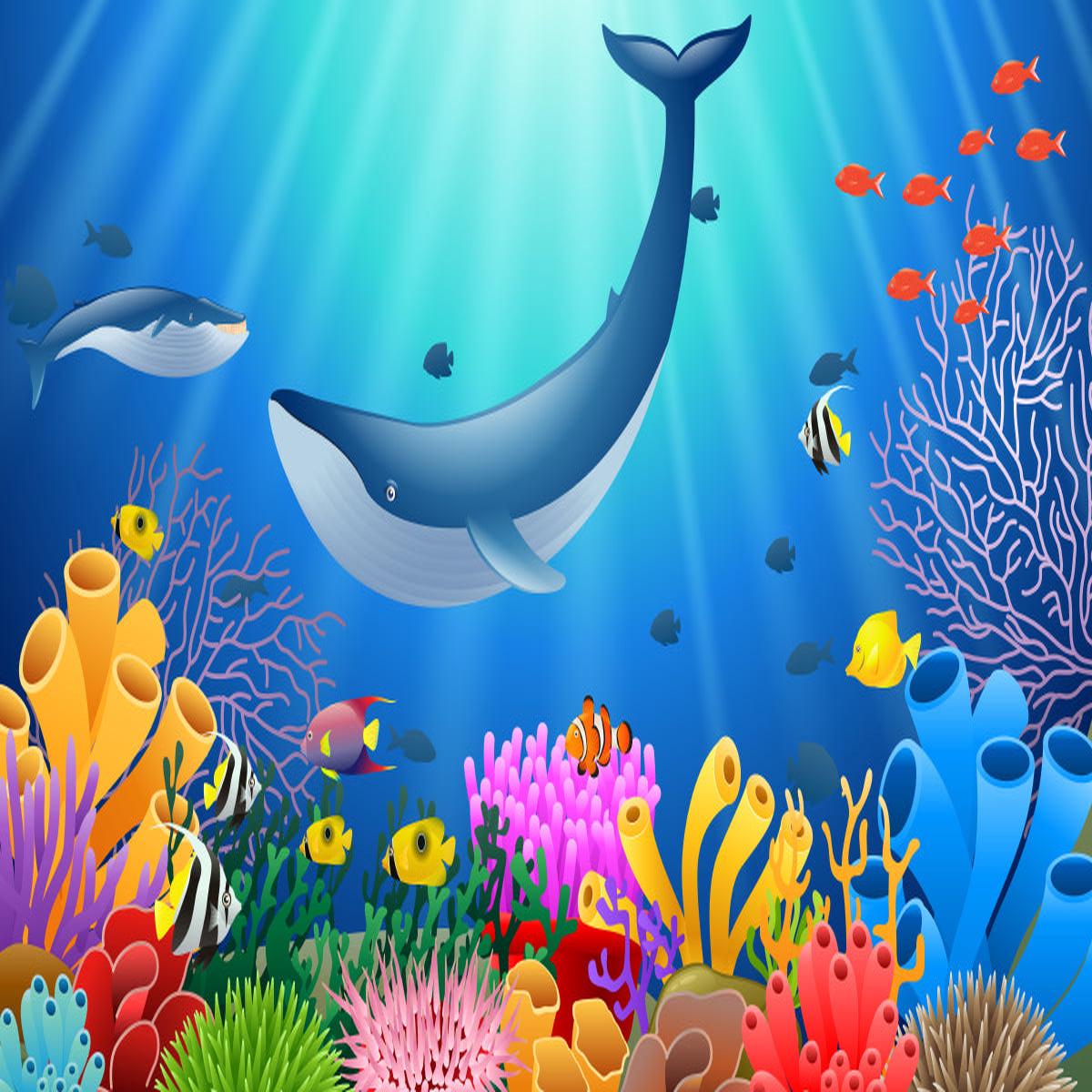 Humpback reef (Custom)