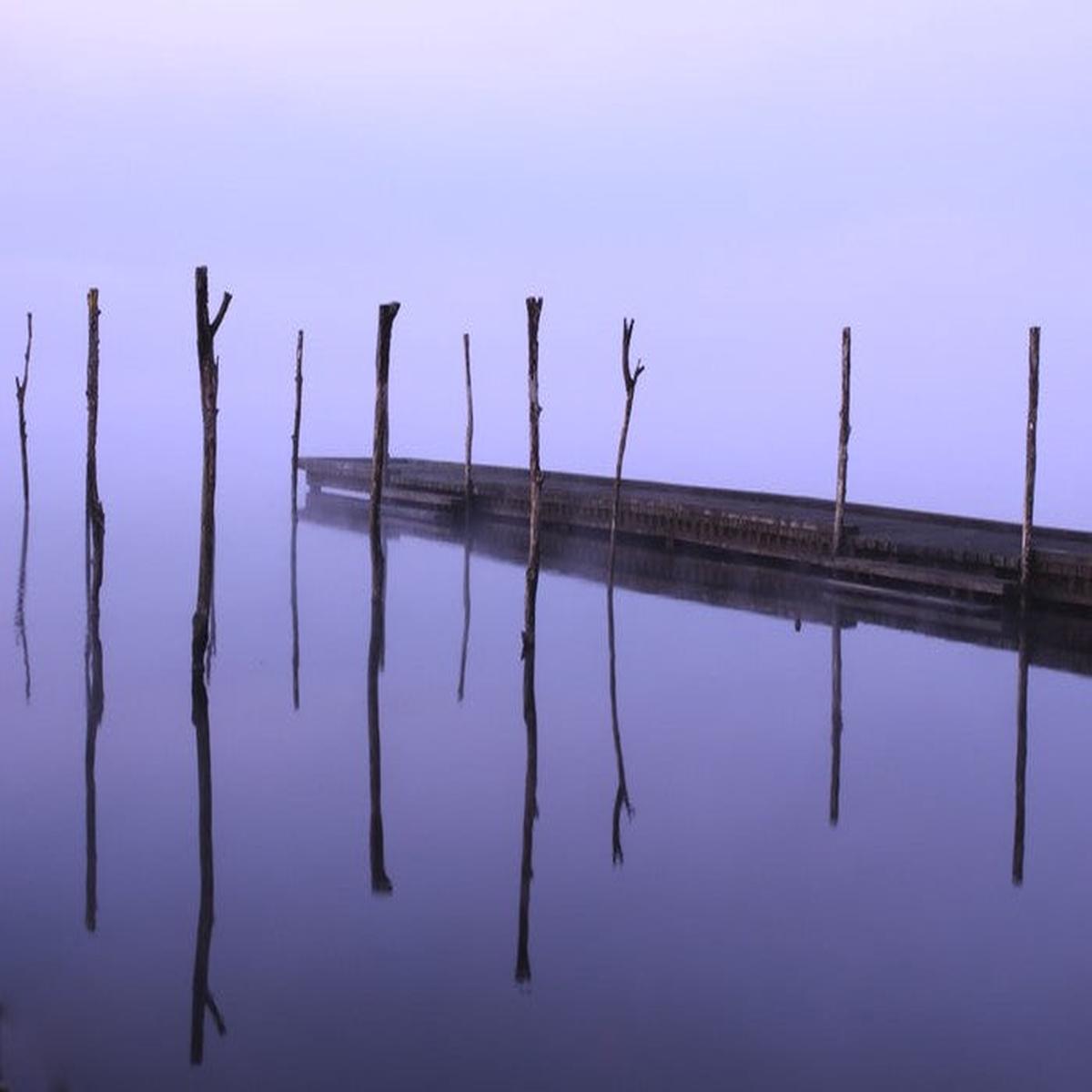 Dawning zen