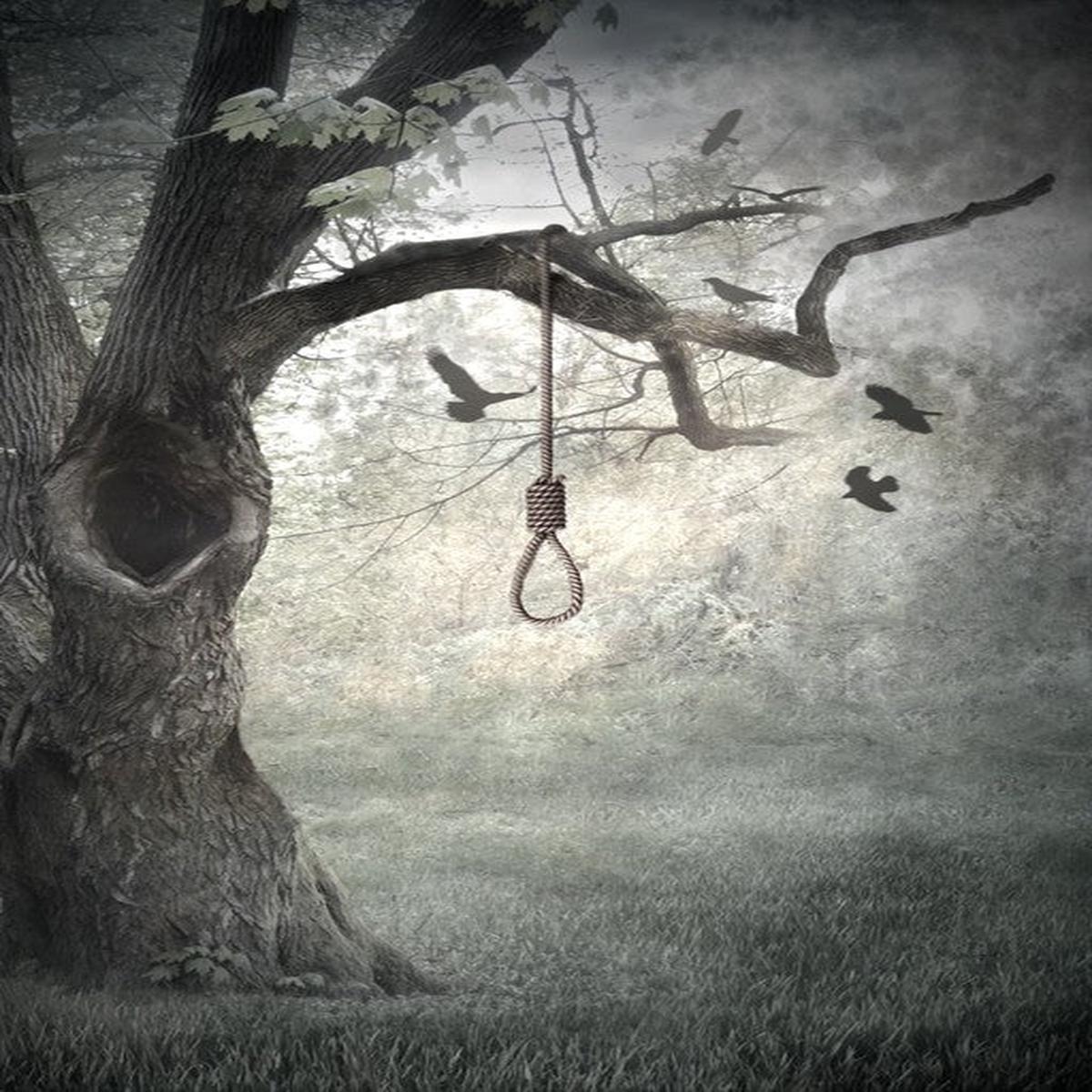 Hanging in the balance