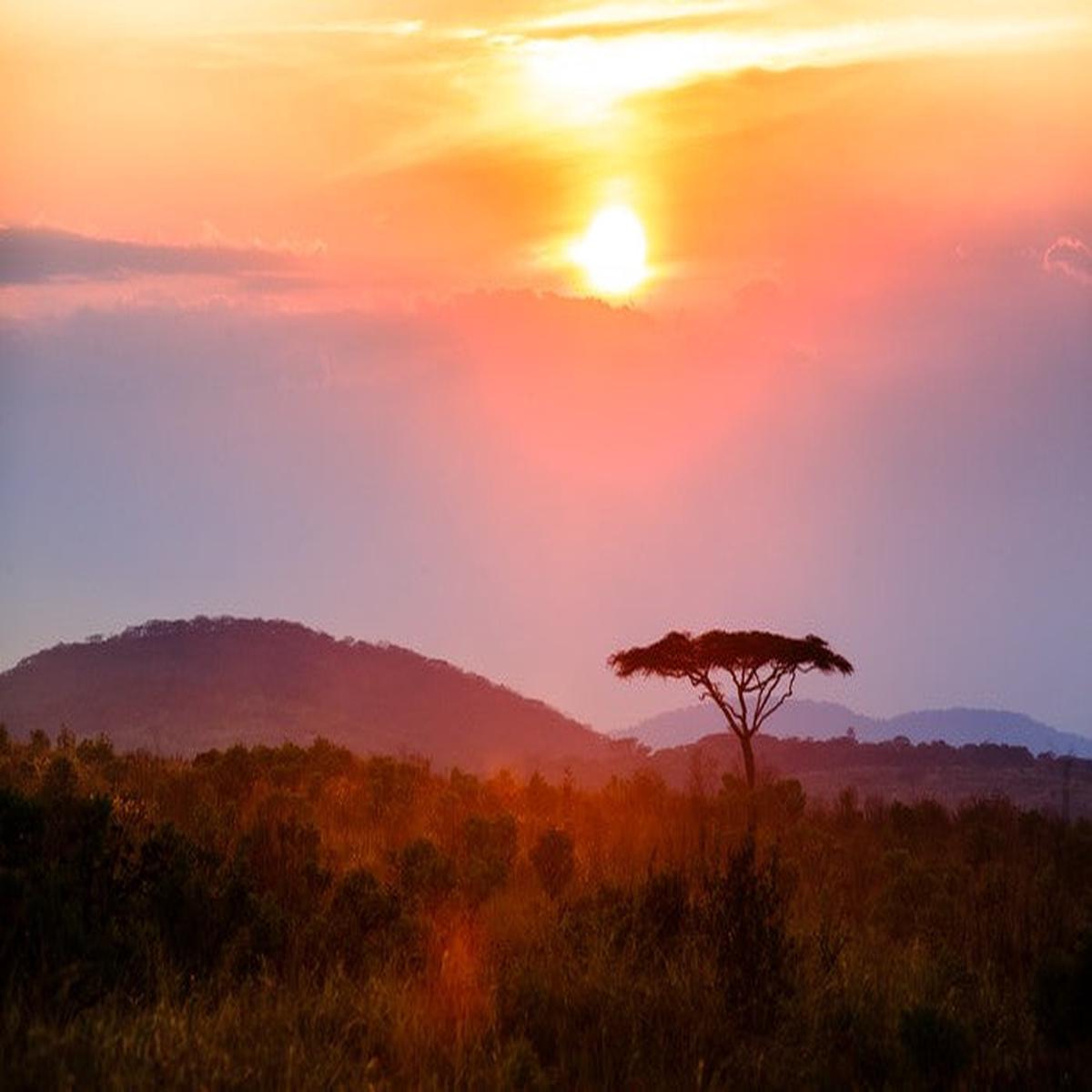 Malawi moment