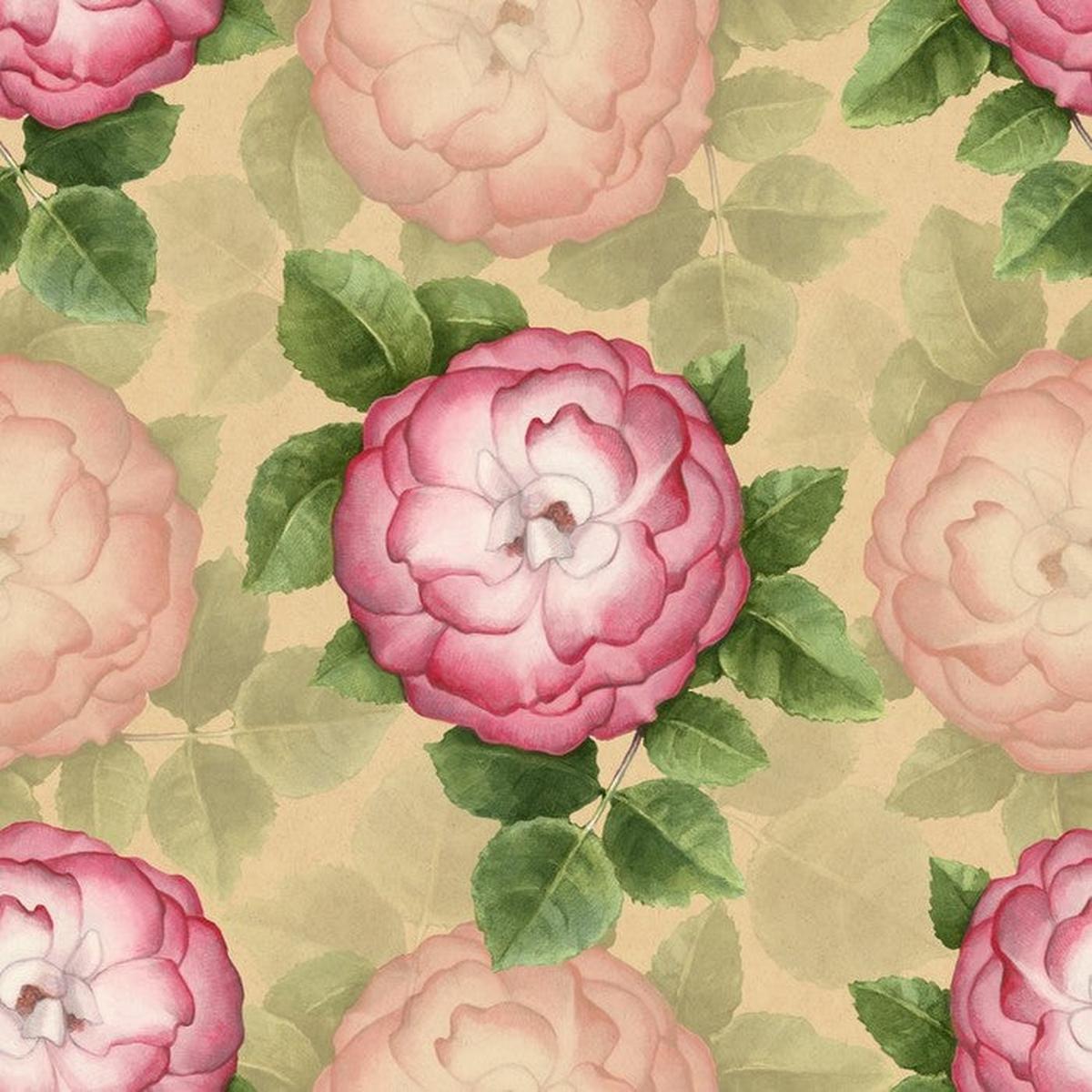 Vintage dog-rose