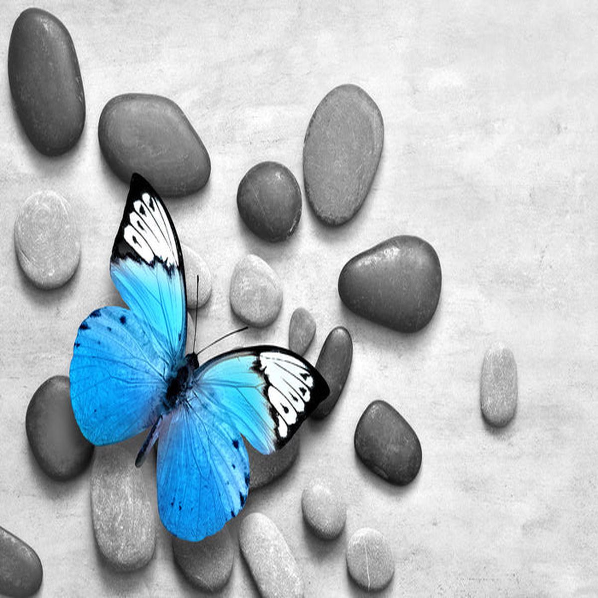Blue butterfly stones