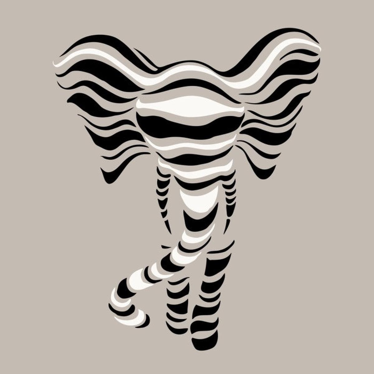 Elephant stripes